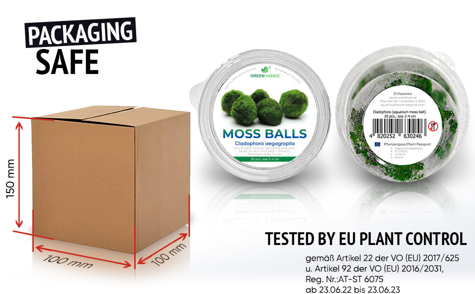 Moss balls, cladophora 2-4 cm, 10+1 free / Mooskugeln, cladophora 2-4 cm, 10+1 gratis