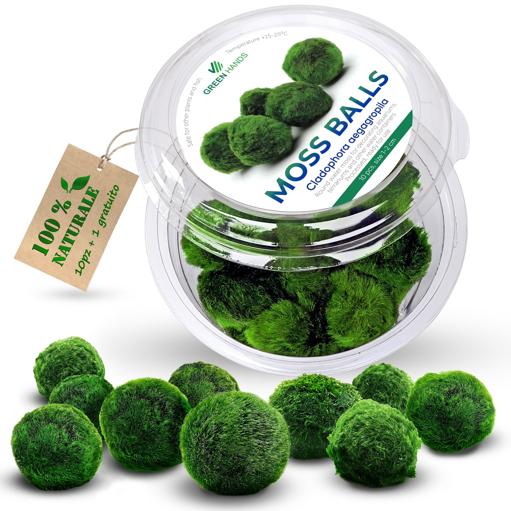 Moss balls, cladophora 2-4 cm, 20+1 free  / Mooskugeln, cladophora 2-4 cm, 20+1 gratis
