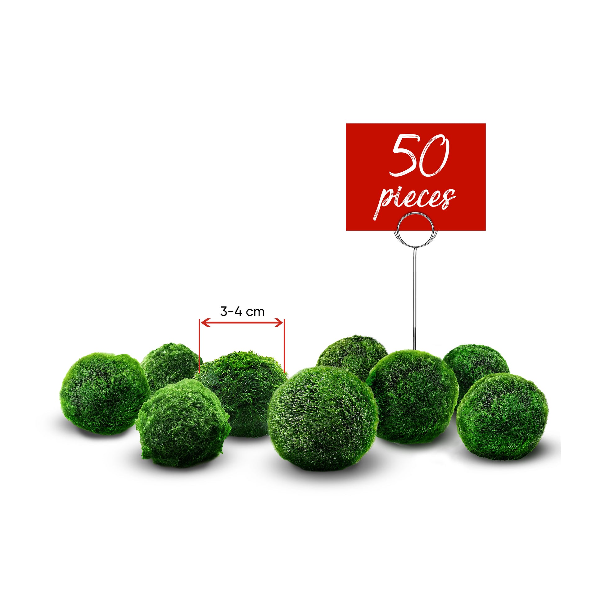 Moss balls, cladophora 3-4 cm, 20+1 free – Oksana Milz